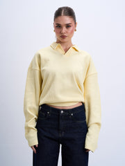 V Polo Sweater